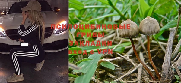 трава Нефтекумск