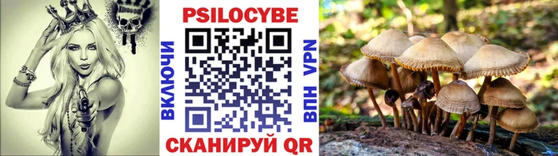 МЕГА онион  Приморско-Ахтарск  Галлюциногенные грибы мухоморы 