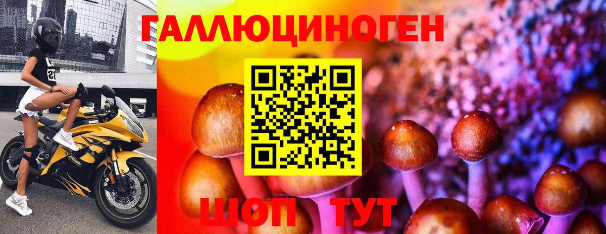 Псилоцибиновые грибы прущие грибы  где можно купить наркотик  Приморско-Ахтарск  Вход с VPN 