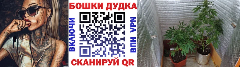мориарти официальный сайт  Приморско-Ахтарск  Бошки марихуана White Widow 